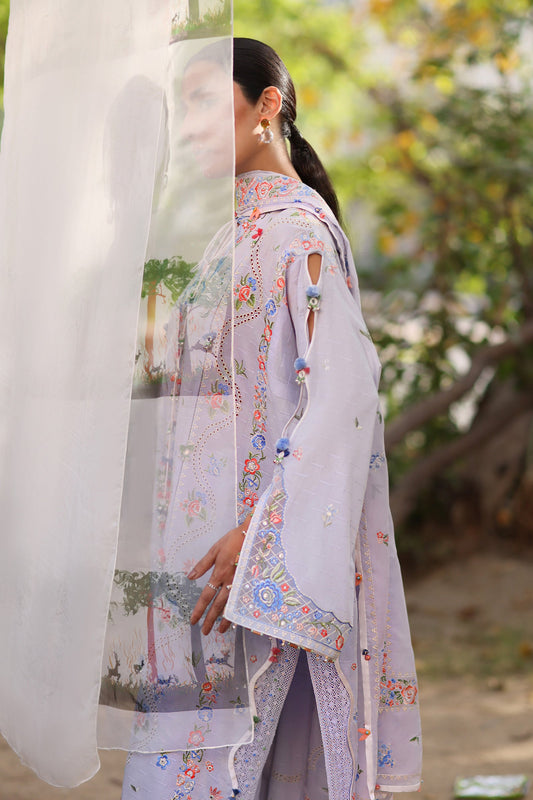 PERIWINKLE MUSE (ZF26-11)