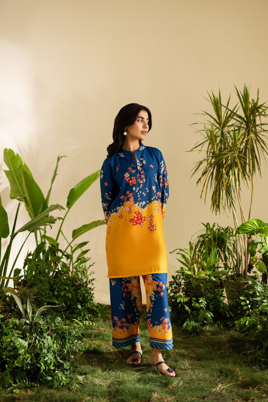 2PC Summer Dress - FS68