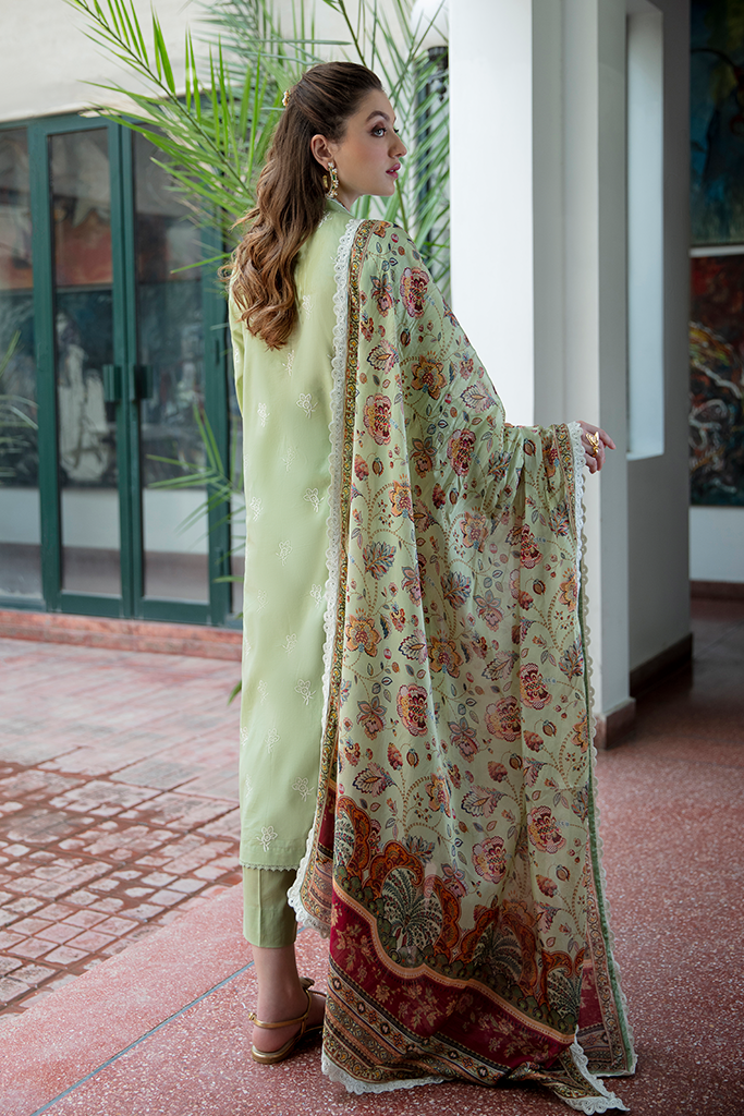 ZHAVIA (AEE- 02) - Heer Rang