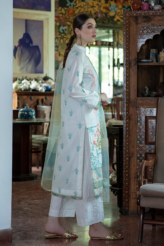 ZARMINAY (AEE- 05) - Heer Rang