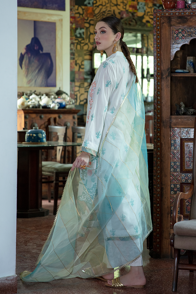 ZARMINAY (AEE- 05) - Heer Rang